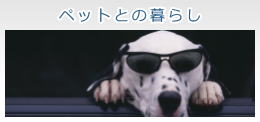 ybgƂ̕炵